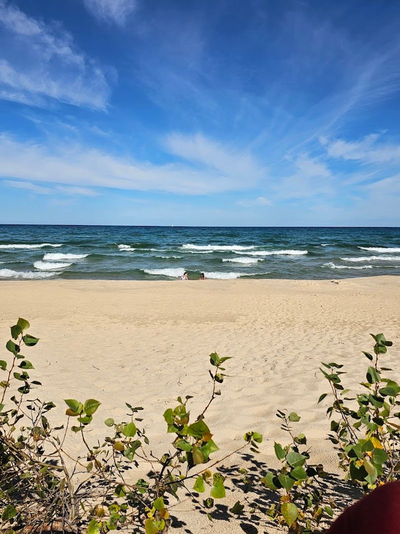Nordhouse Dunes Wilderness Area