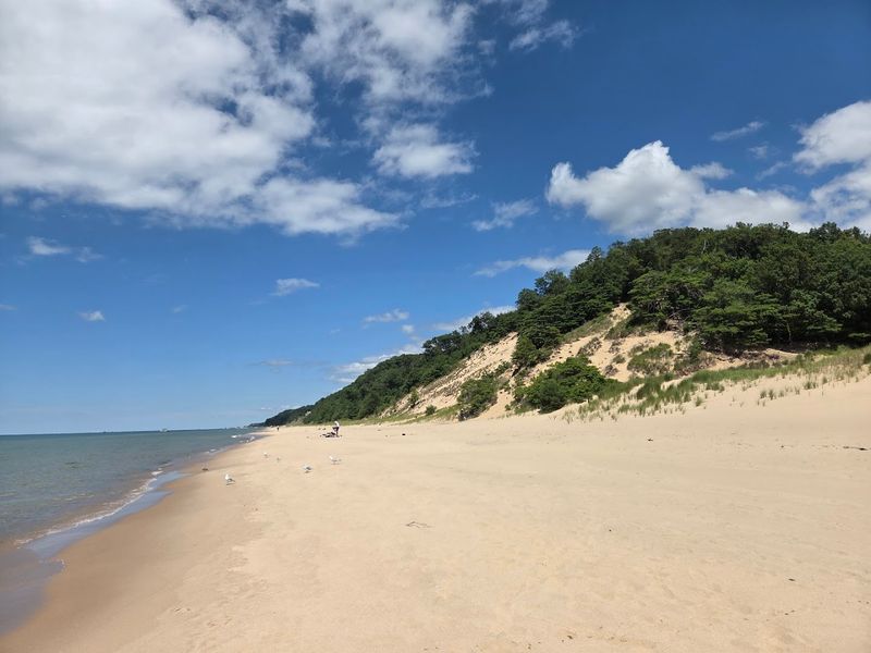 Saugatuck Dunes State Park