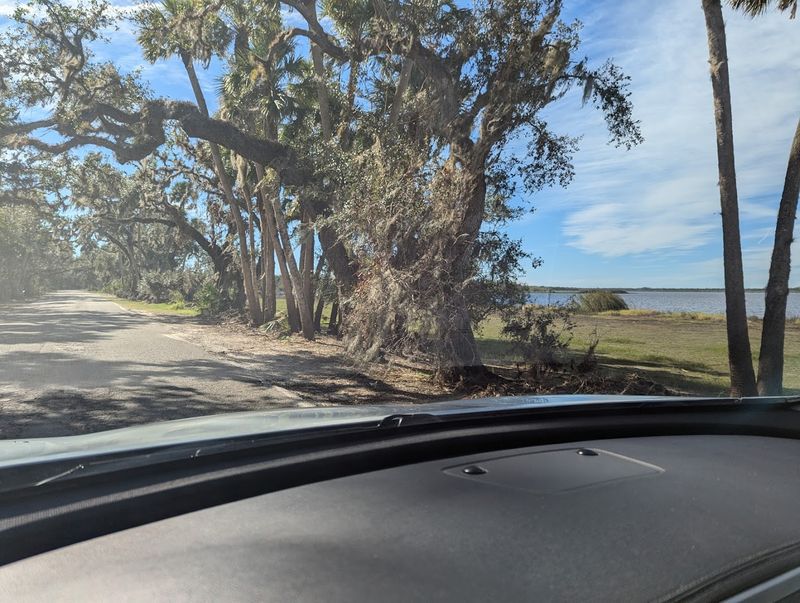 Scenic Drive Through Pristine Wilderness