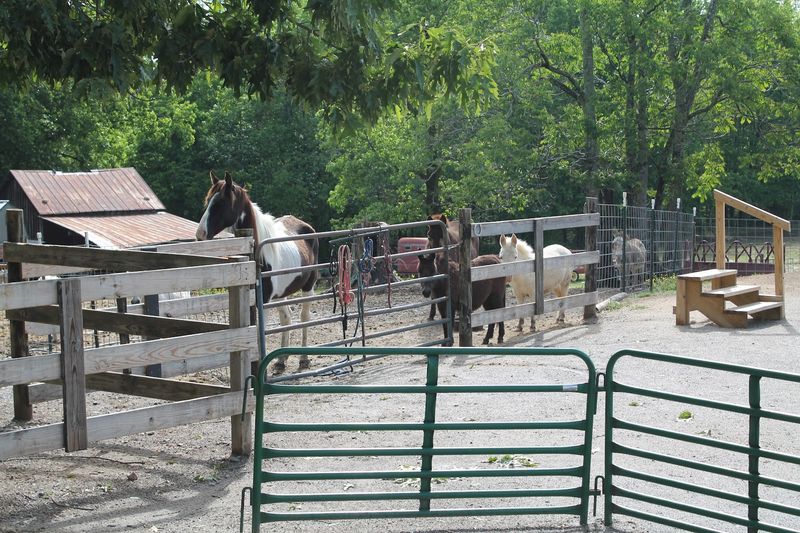 Shady Creek Farm