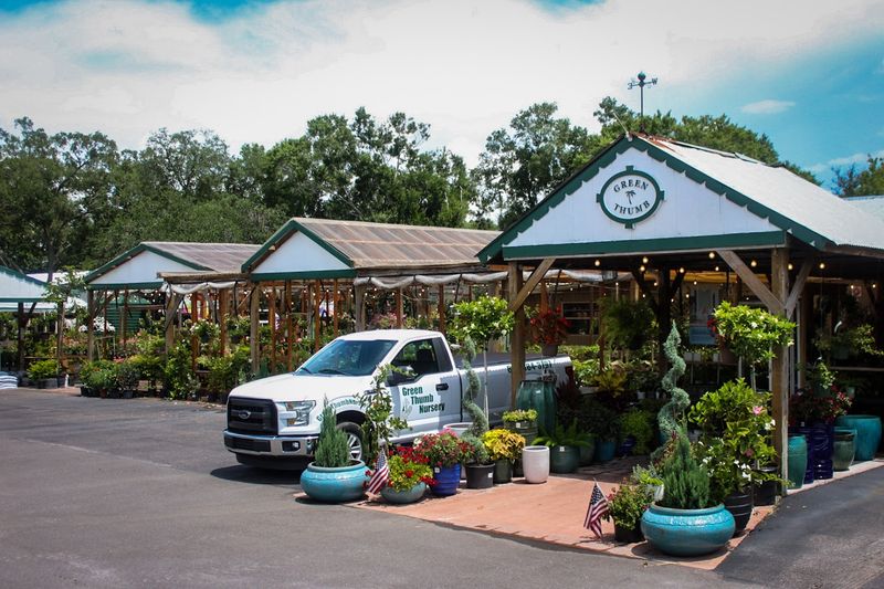 Green Thumb Nursery
