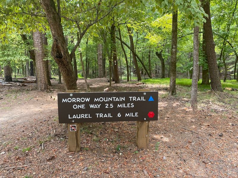 Diverse Trail Network