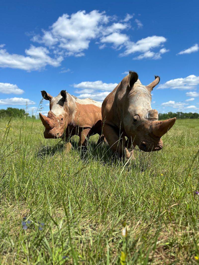 Georgia Safari Conservation Park – Madison