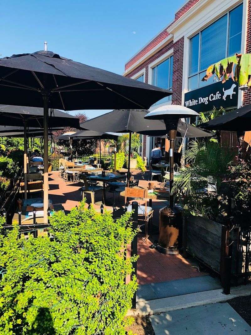 The White Dog Cafe (Wayne)