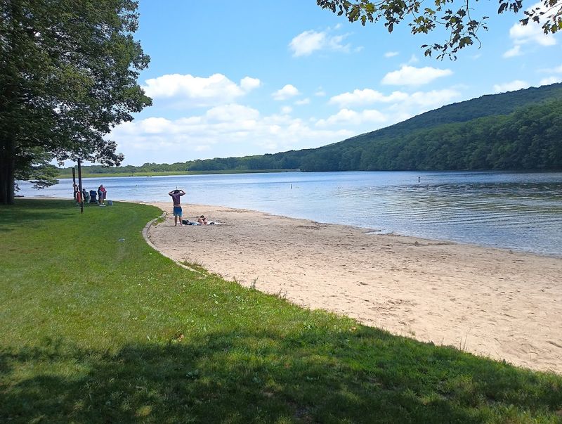 Locust Lake Beach