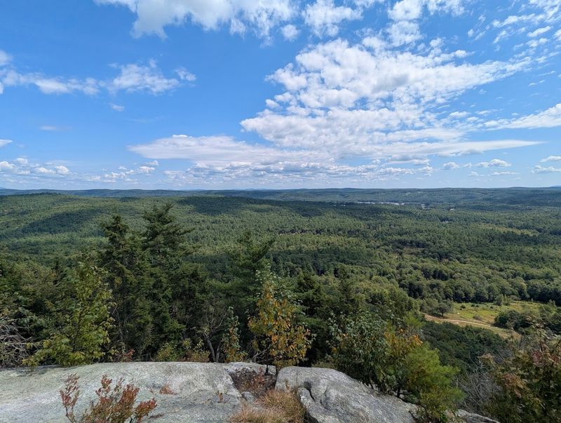 Tully Trail Network