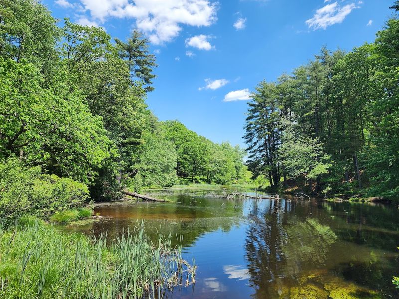 Chicopee Memorial State Park