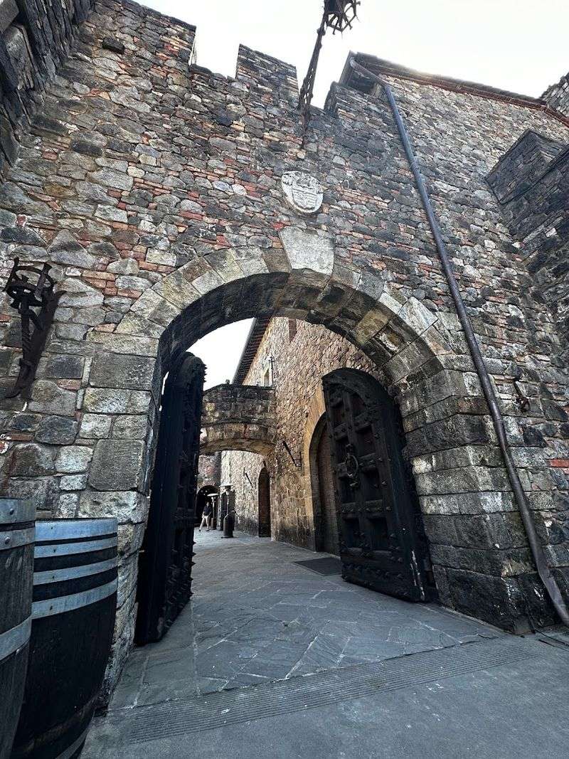 Medieval Torture Chamber and Authentic Armory Displays