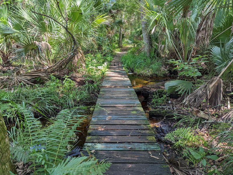 Wekiwa Springs State Park Trails