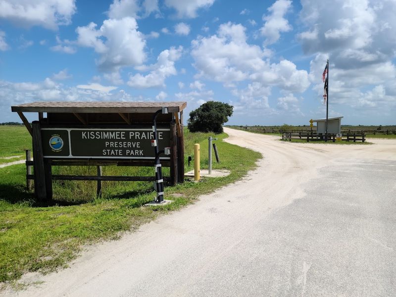 Authentic Old Florida Wilderness Experience