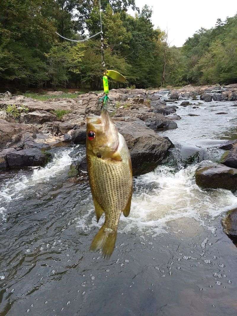 Serene Canoeing And Fishing Access Points