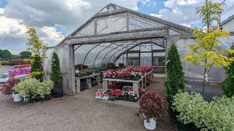 Bigelow Nurseries