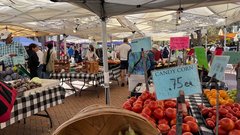 Sarasota Farmers Market &ndash; Sarasota