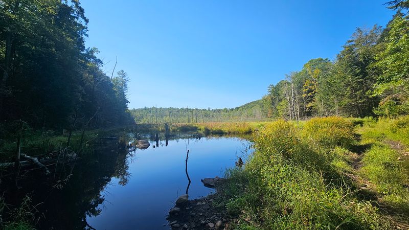 American Legion State Forest