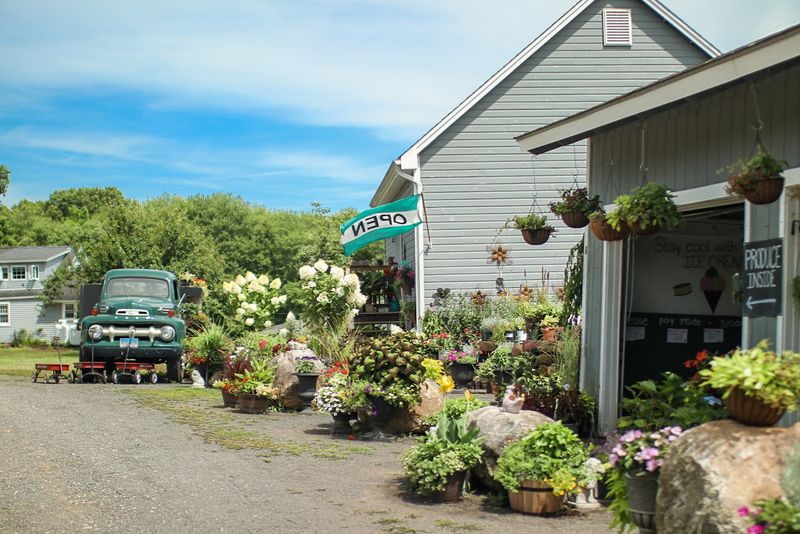 Hein Farm &ndash; The Farm Truck Flowers