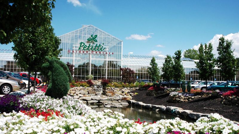 Petitti Garden Centers - Strongsville