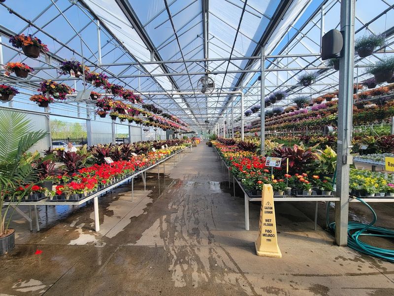 Strader&rsquo;s Garden Centers - Riverside