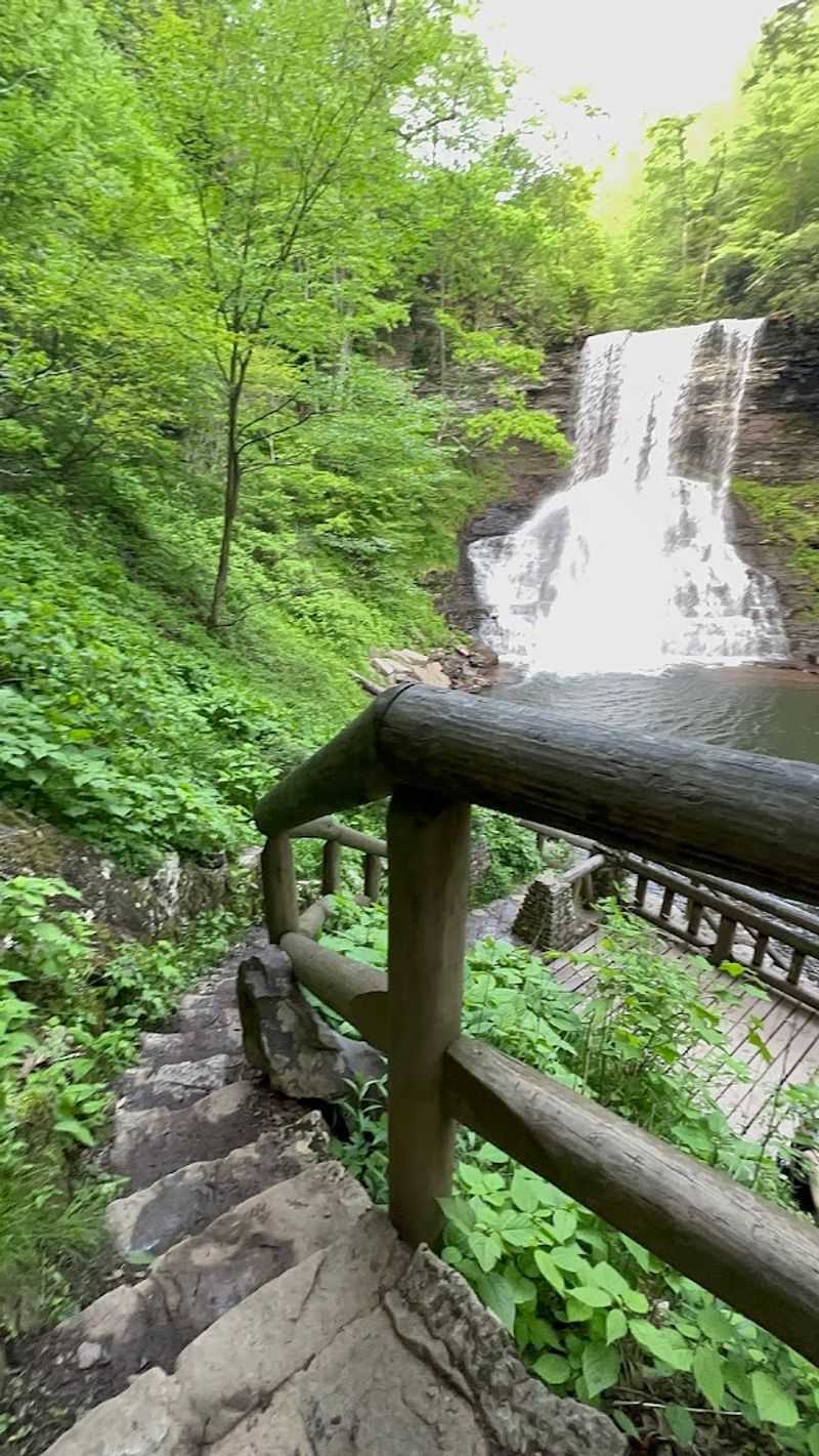 Family-Friendly Accessibility
