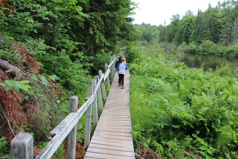 Tahquamenon Falls State Park Adventure Trails