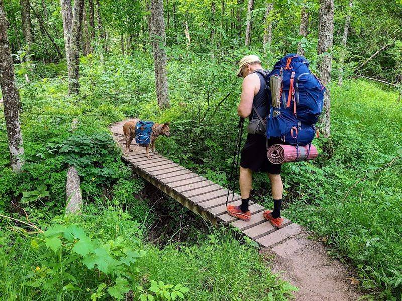 North Country National Scenic Trail (Manistee River Loop section)
