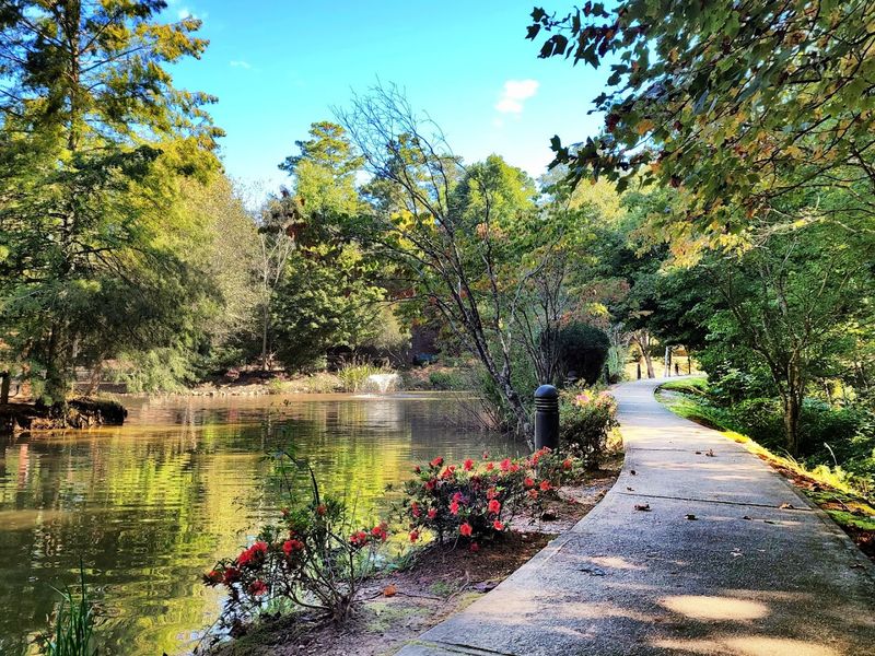 Newtown Park - Johns Creek