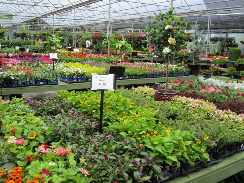 Pike Nurseries (Marietta)