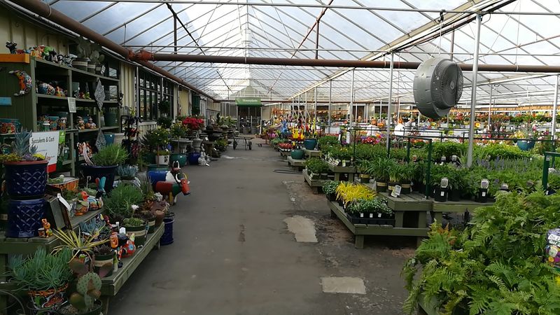 Pike Nurseries (Roswell)