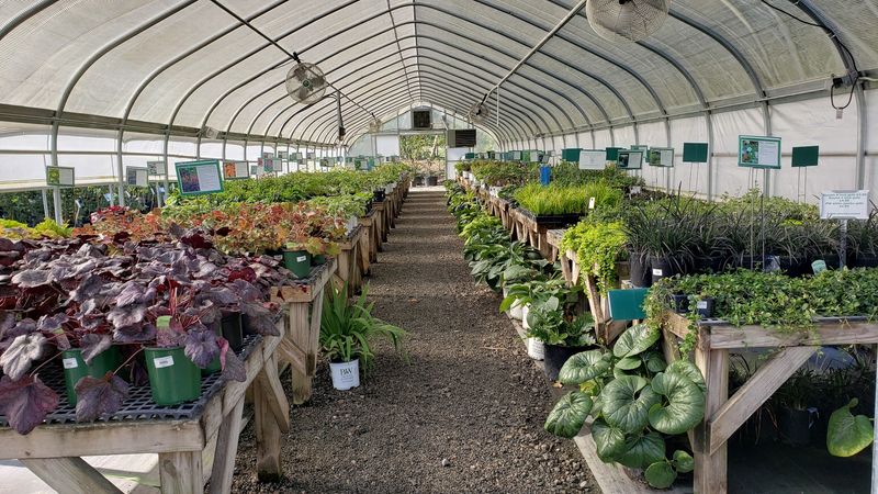 Scottsdale Farms