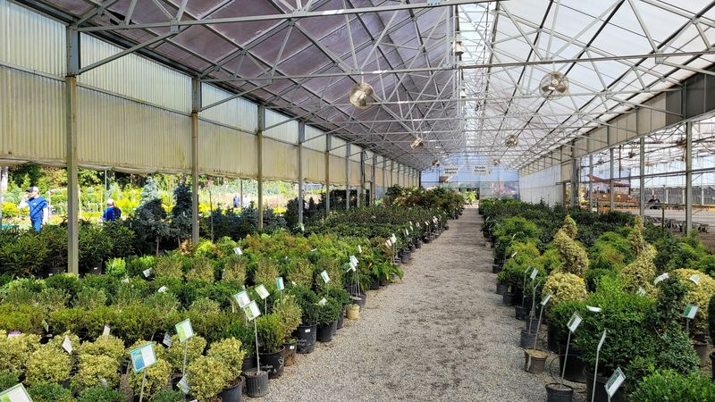 Scottsdale Farms