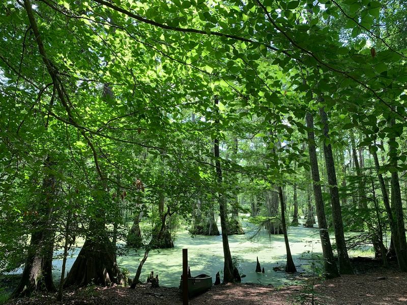 Merchants Millpond State Park