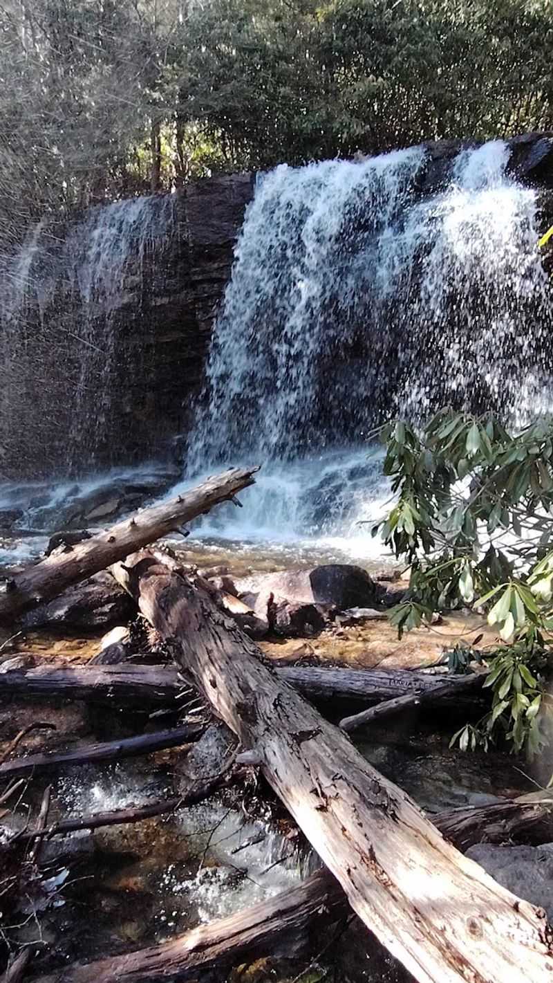 Glen Onoko Falls Trail (Lehigh Gorge Area)