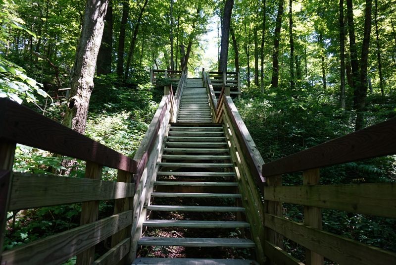 Interconnected Trail System for Every Skill Level