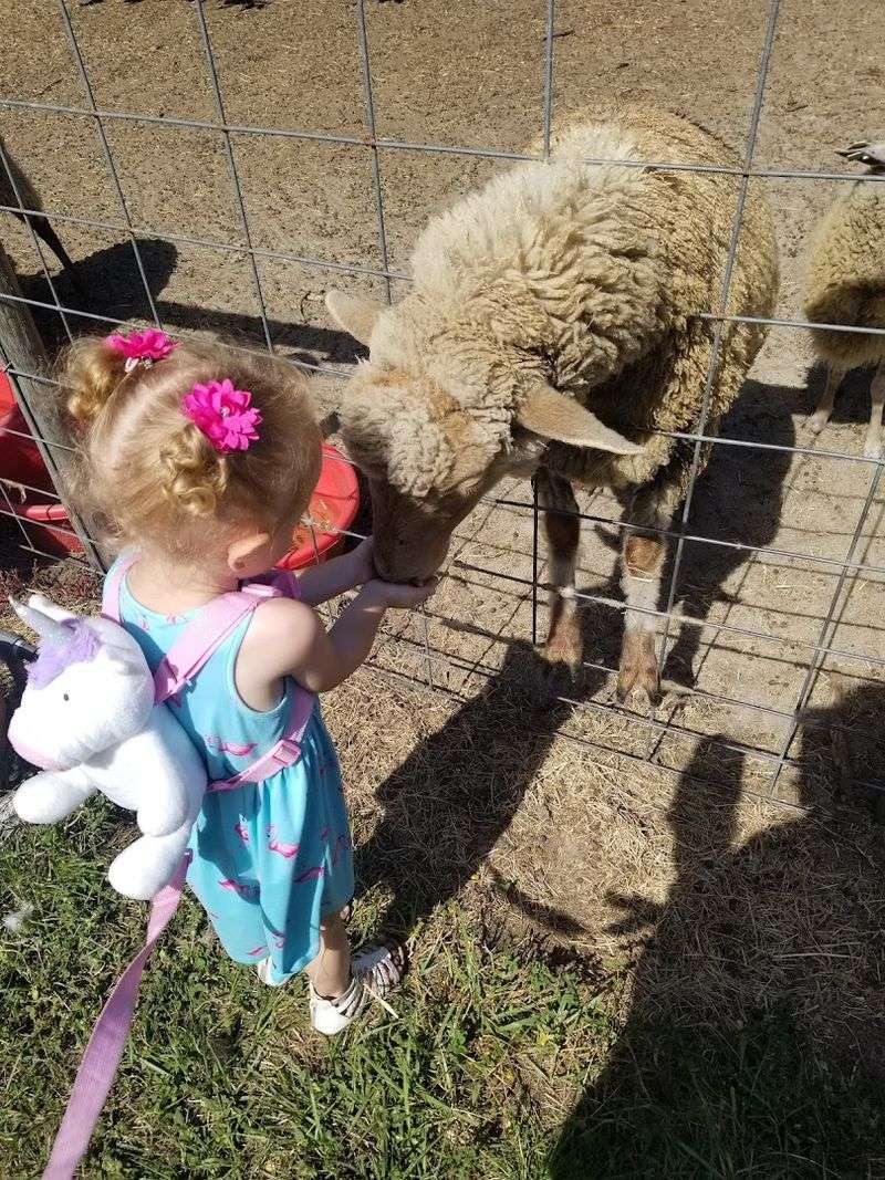 Uncle Donald's Farm (Lady Lake)
