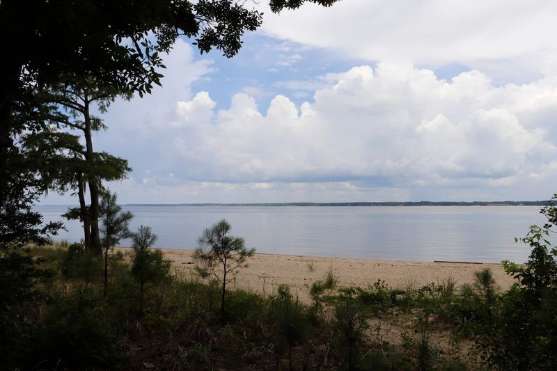 Croatan National Forest Horse Trails 
