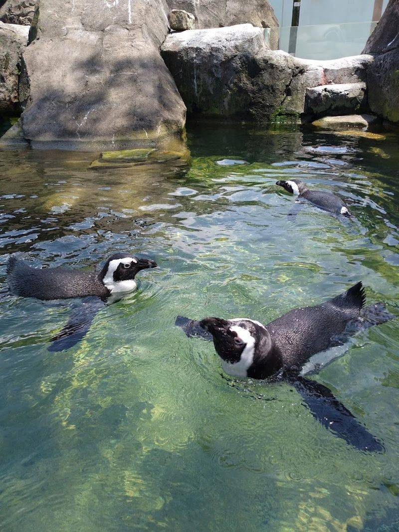 National Aviary 