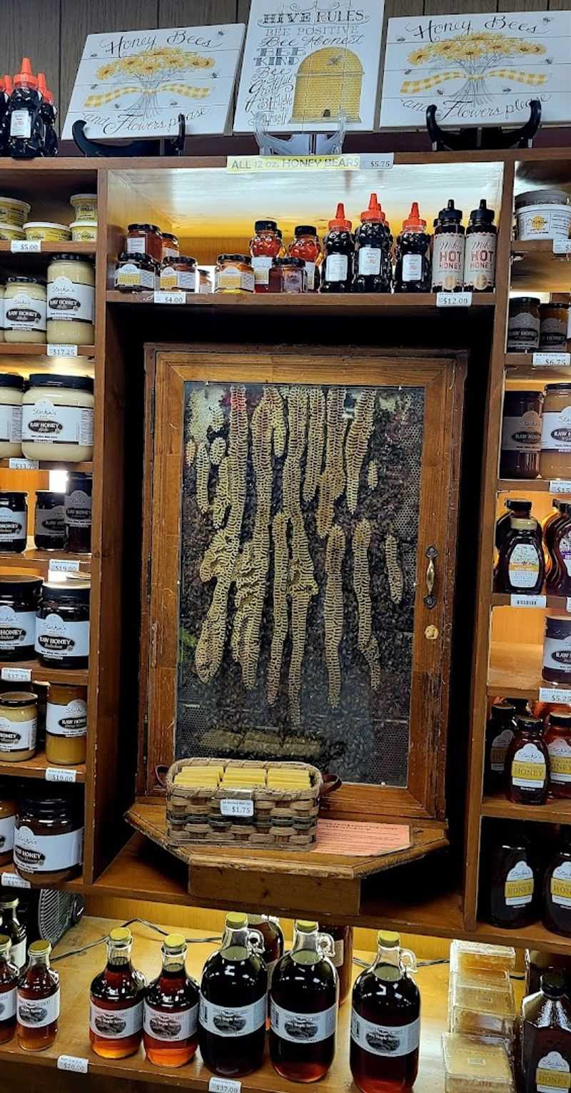 A Working Beehive Adds A Surprisingly Cool Twist