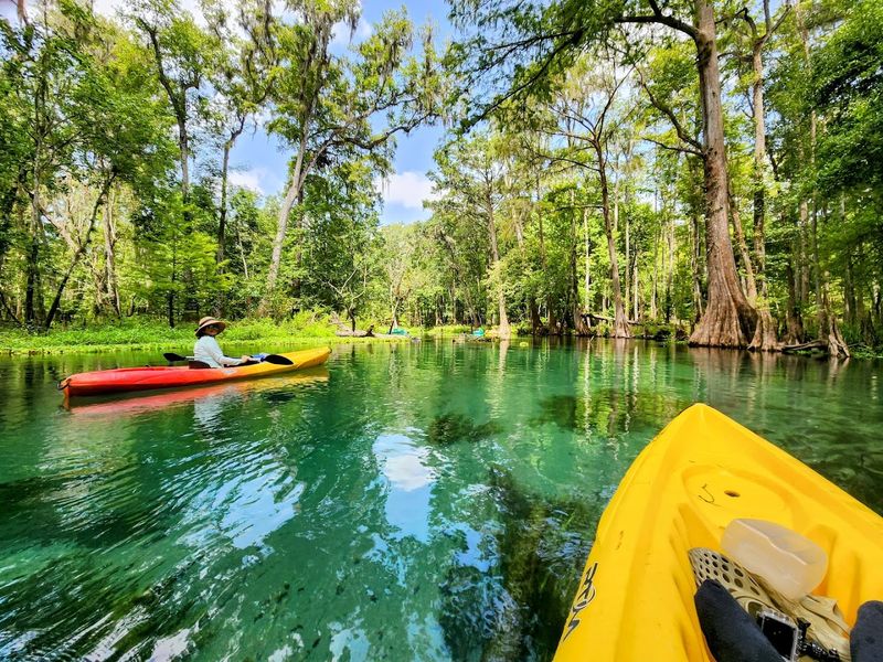 Why the Park Feels So Refreshing