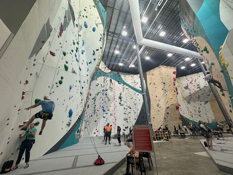 High Point Climbing & Fitness (Orlando)