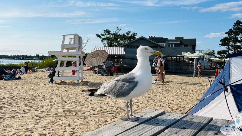 Harvey's Beach - Old Saybrook, Middlesex County