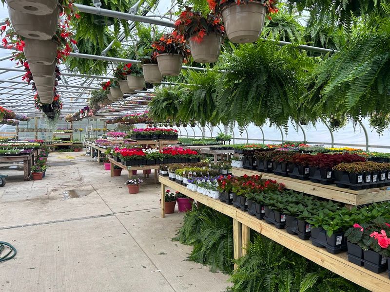 Twolick Valley Nursery & Gift Shoppe