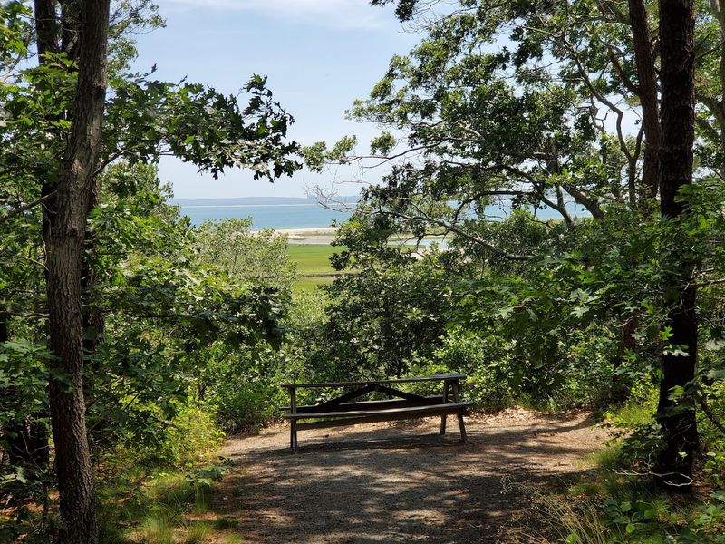 Ellisville Harbor State Park