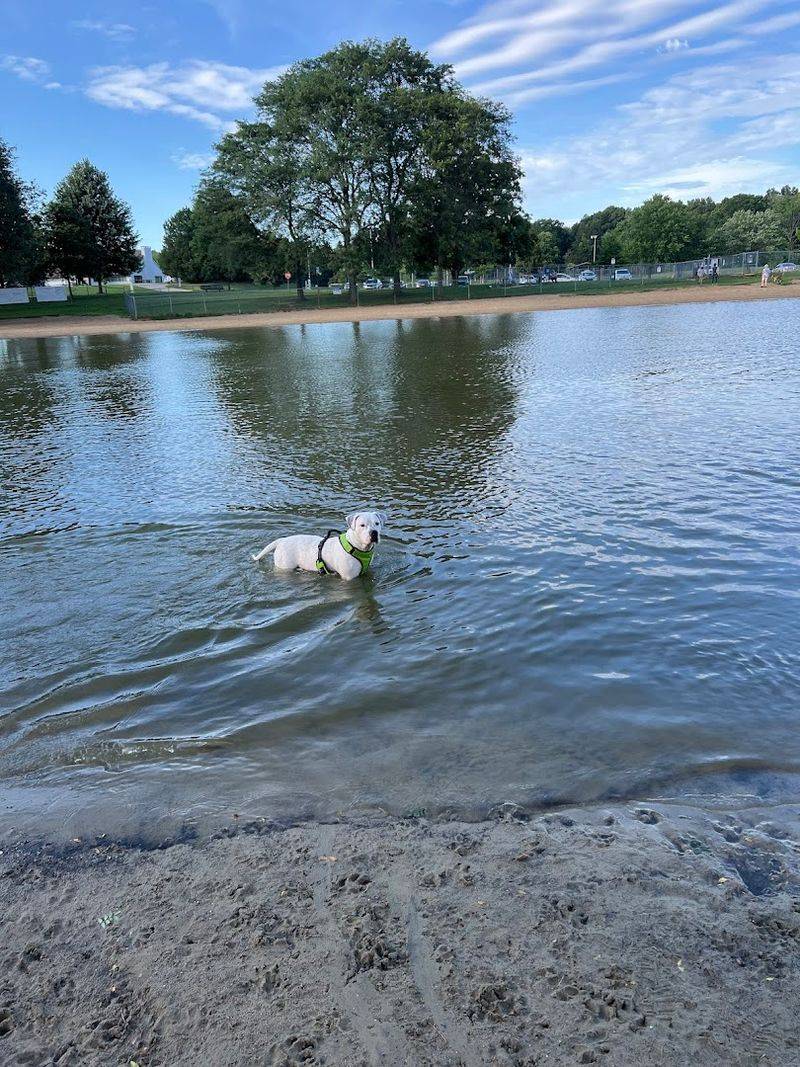 Bow Wow Beach 
