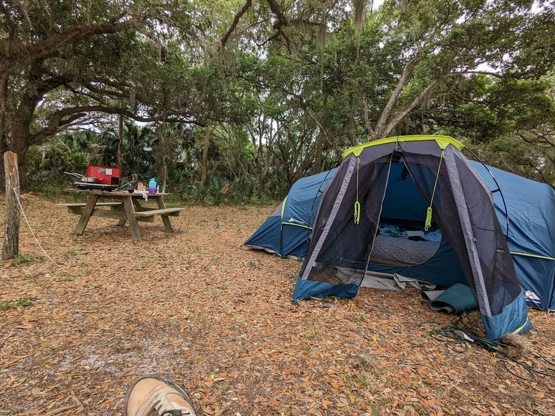 Peaceful Atmosphere and Respectful Campers