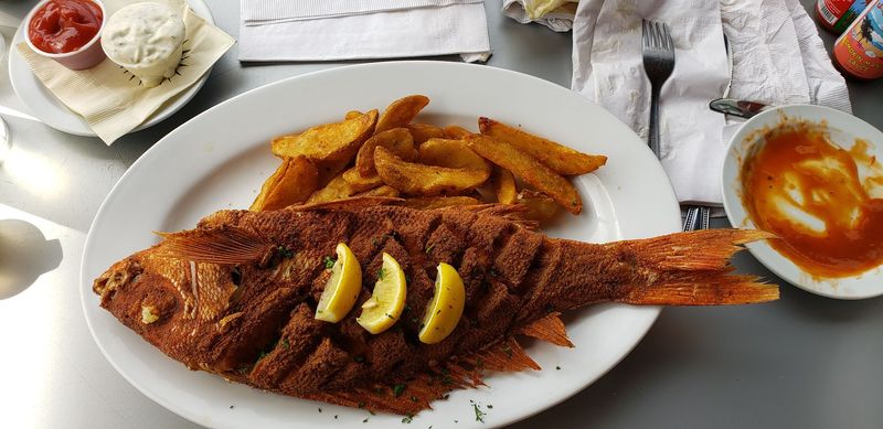 St. Augustine Fish Camp