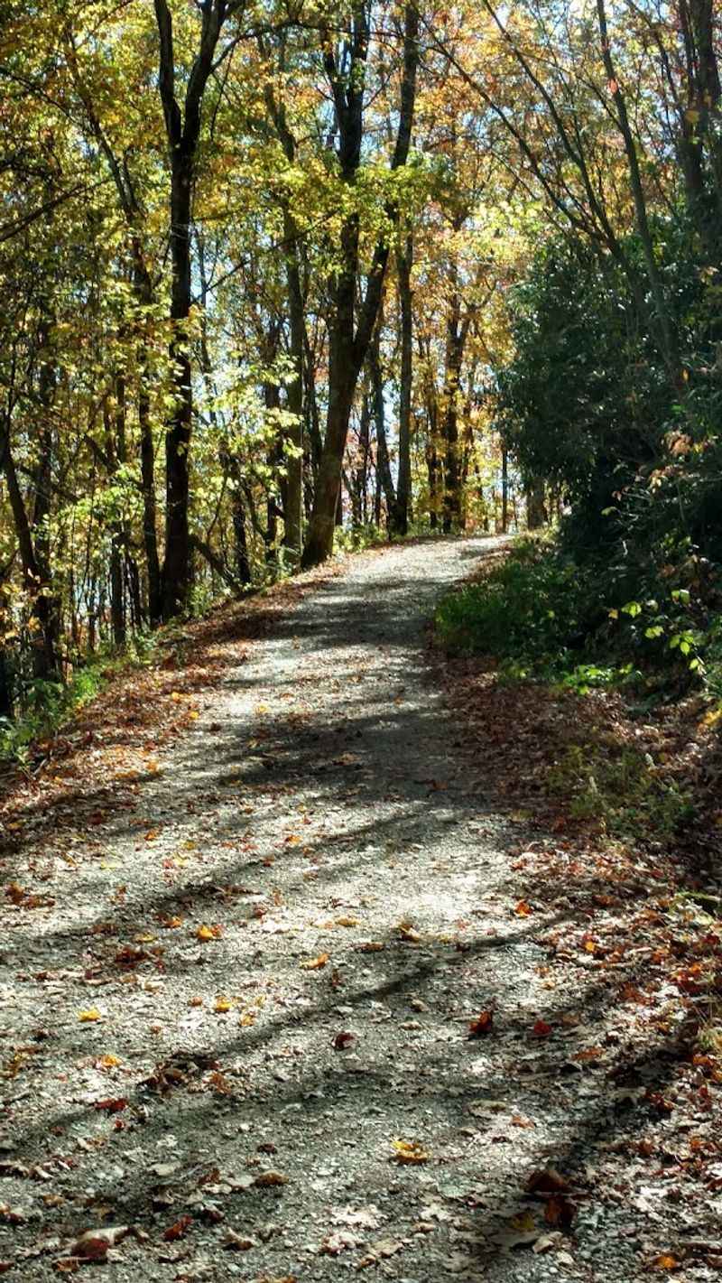 A Moderate Physical Challenge Worth Accepting
