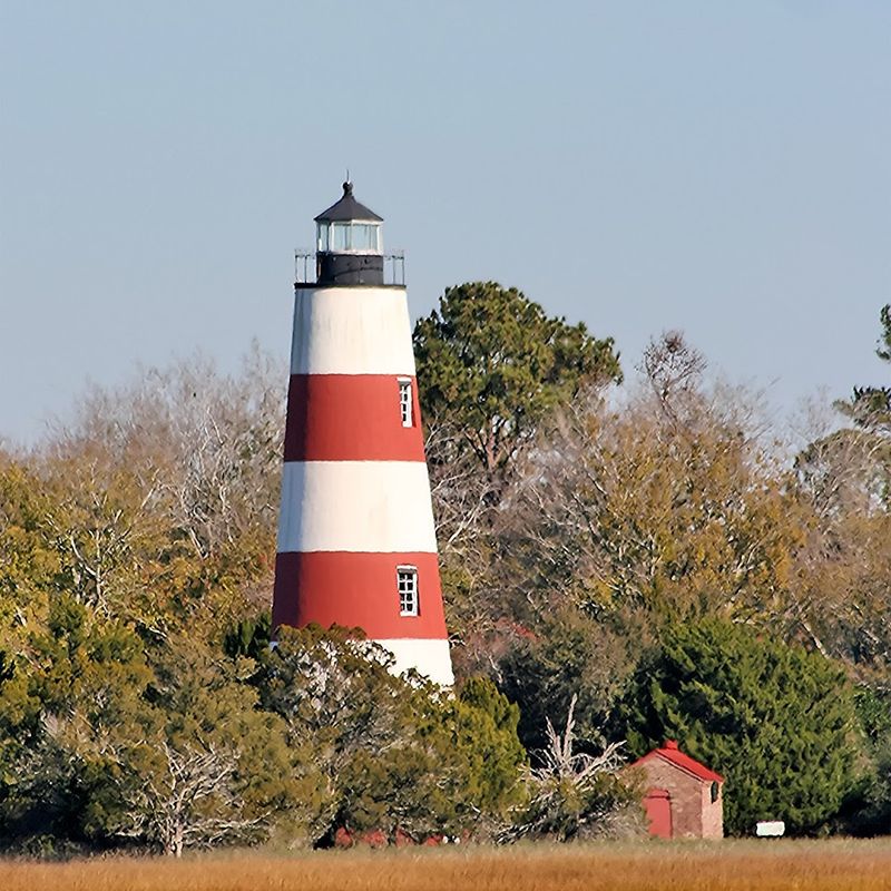 Sapelo Island - Sapelo Island, McIntosh County