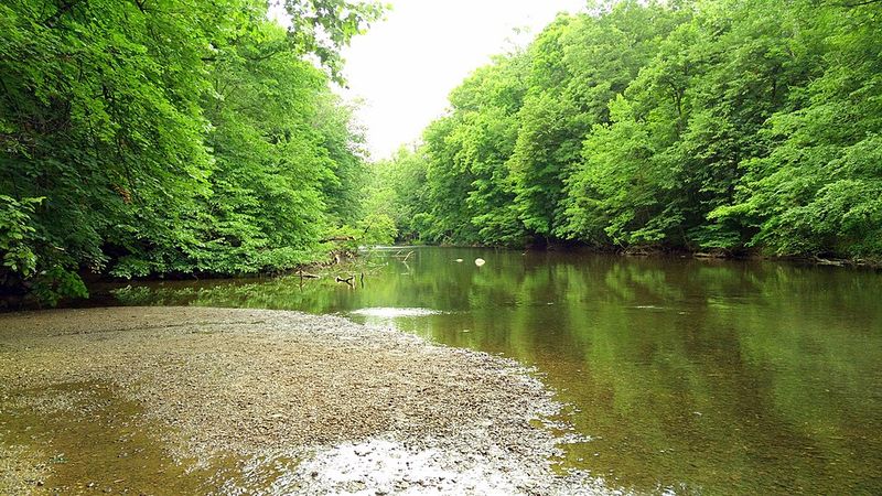Clear Fork River — A More Natural Swimming Experience