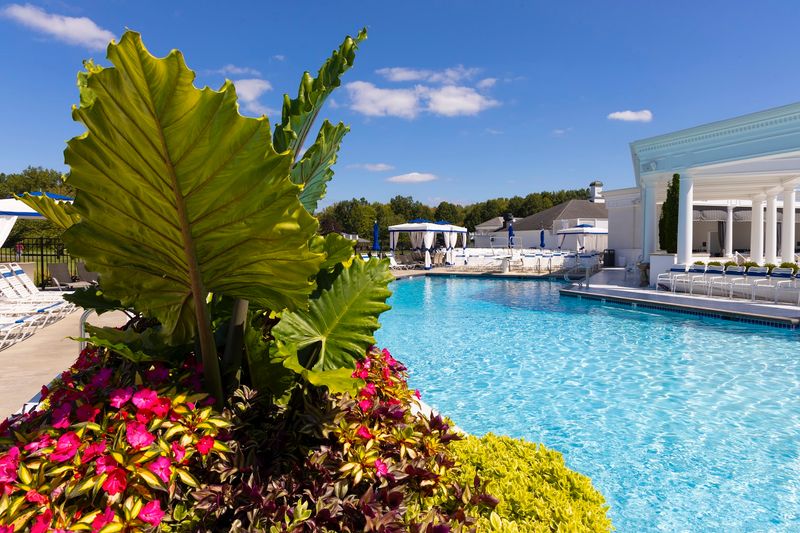The Grand Resort 