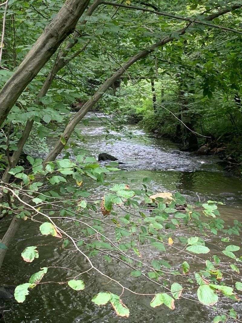 Mianus River