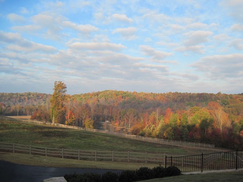 Grove River Ranch — Gillsville, Georgia